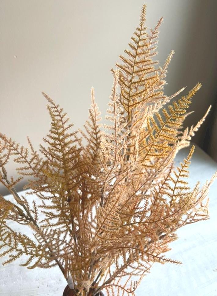 Artificial Fernbank Bush 19" Sandalwood. Fall Faux Greenery. Fall Wreath Supplies. Asparagus Fern. High Quality Foliage. Fall Stems.