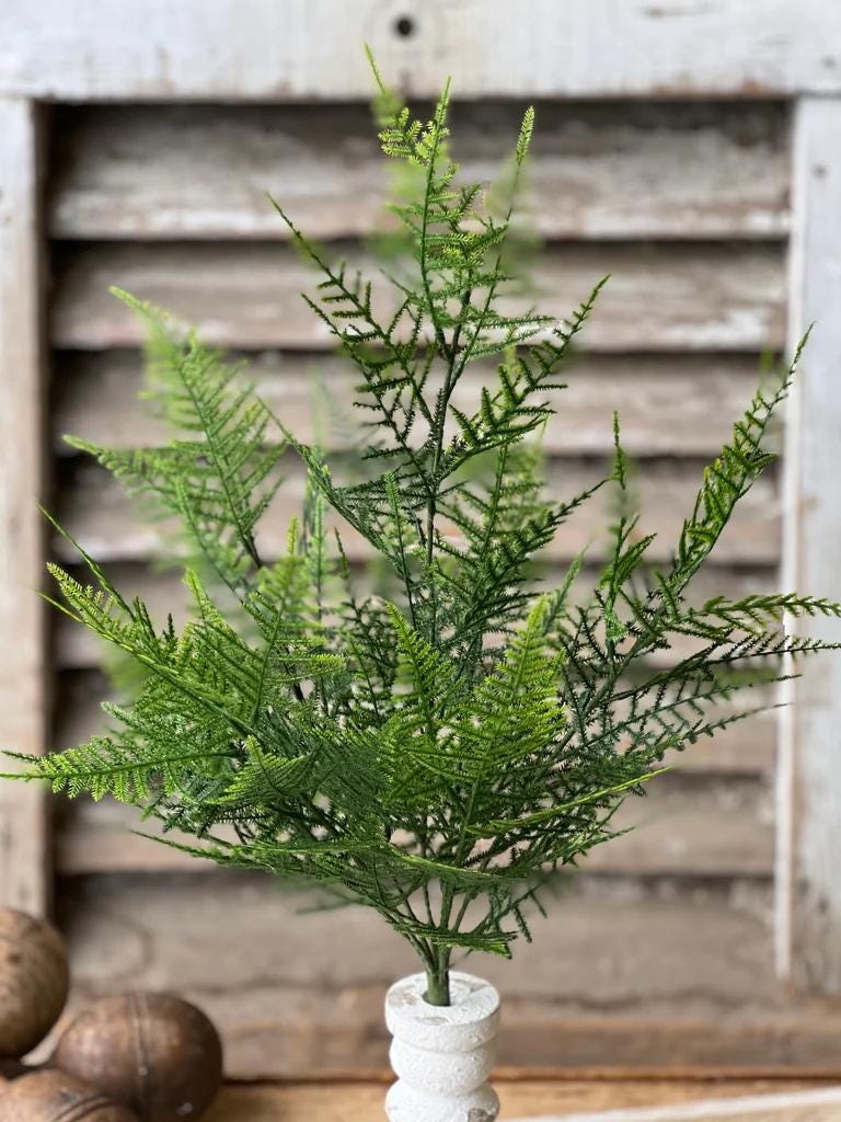 Asparagus Fern Bush, 20.5" Faux Greenery