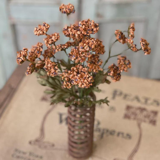 Fennel Flower  Pumpkin Lancaster and Vintage