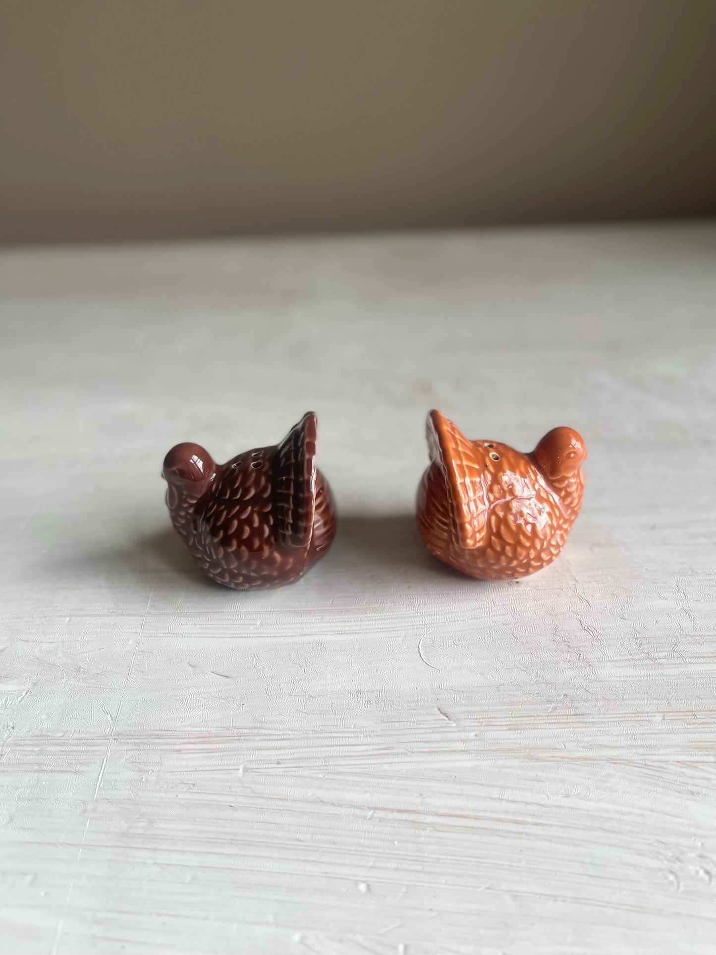 Vintage Thanksgiving Salt & Pepper Shakers | Turkey Salt and Pepper Set