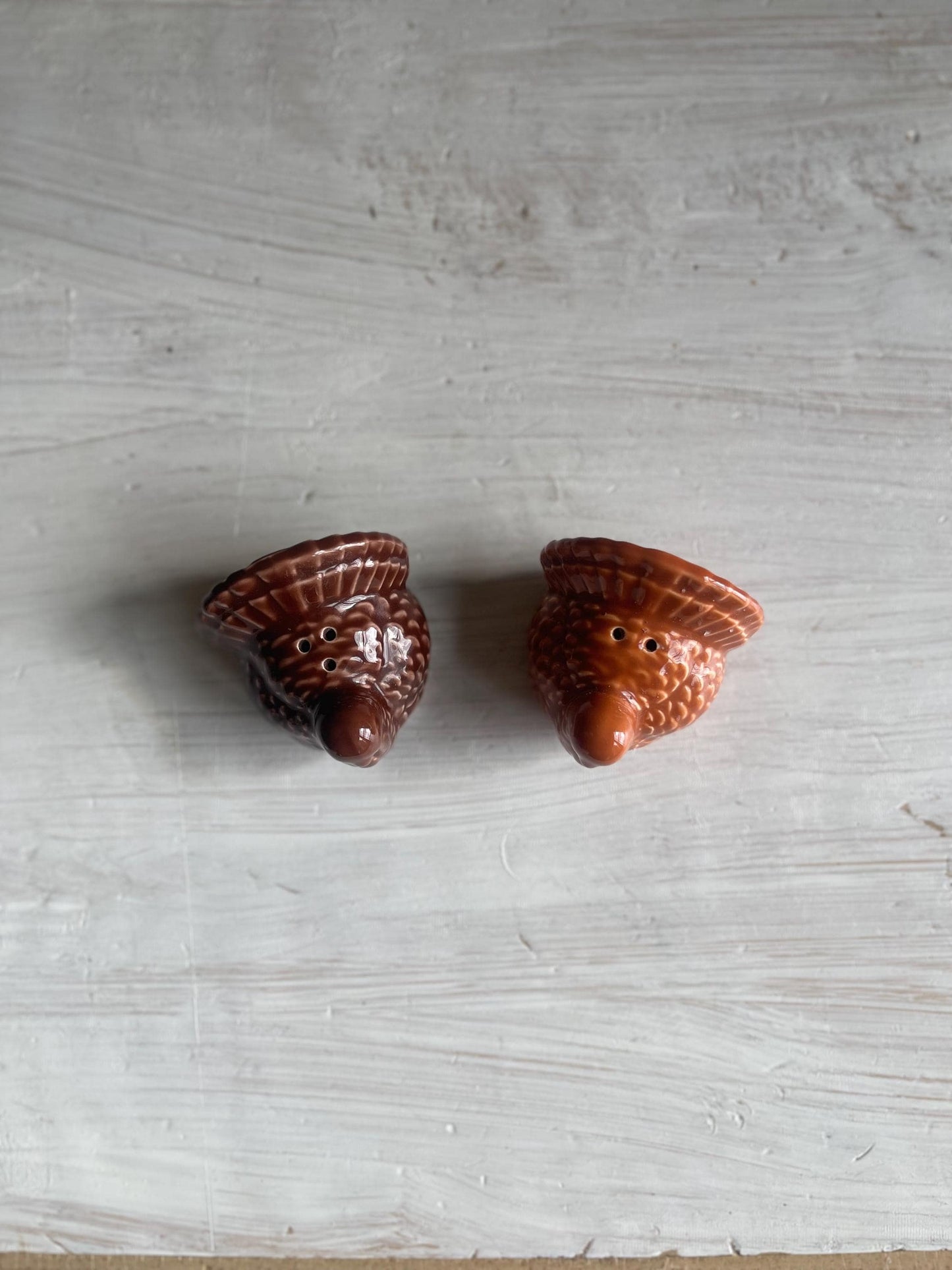Vintage Thanksgiving Salt & Pepper Shakers | Turkey Salt and Pepper Set