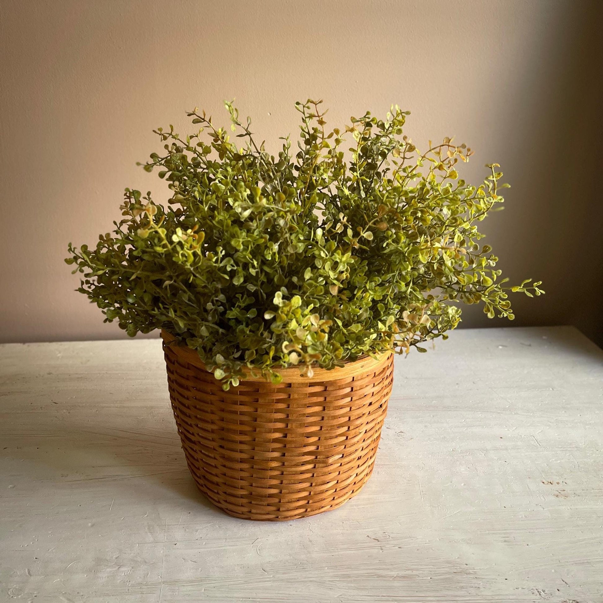 Baby's Grass Bush 14 Inch | New Green | Fall Greenery
