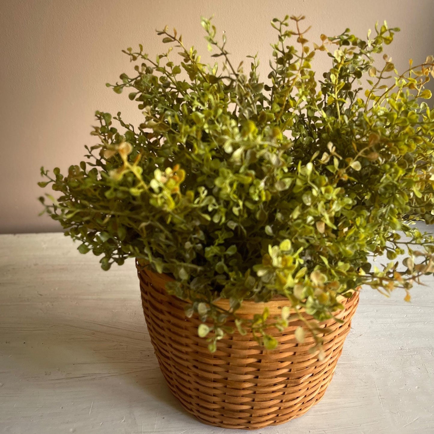 Baby's Grass Bush 14 Inch | New Green | Fall Greenery