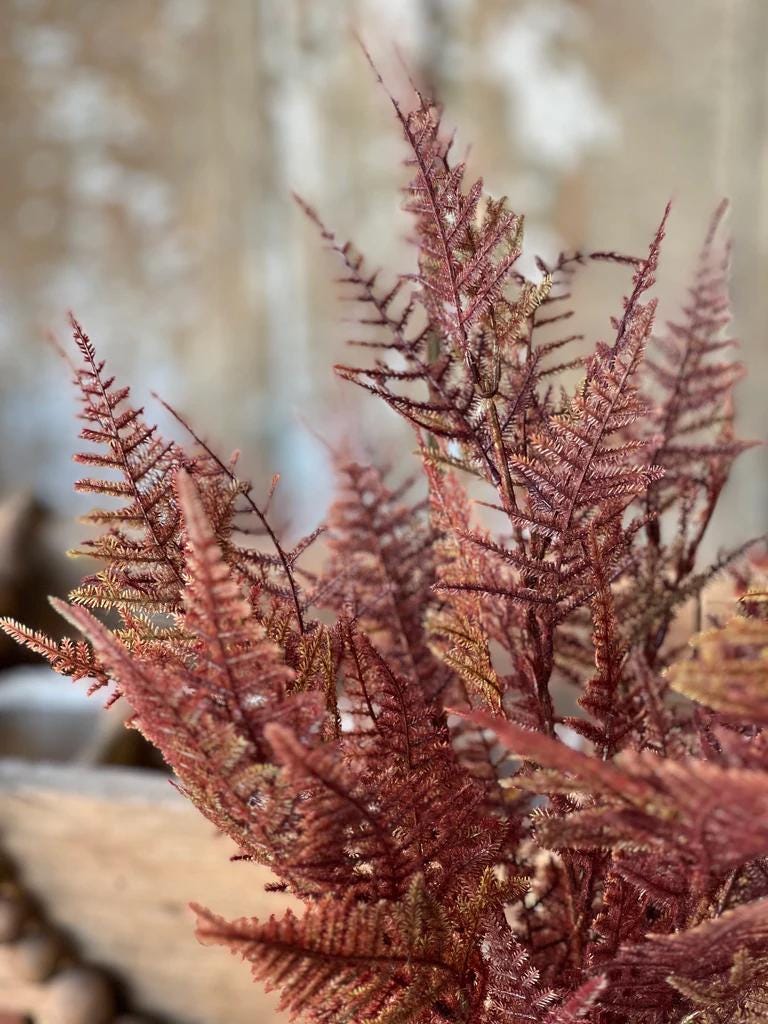 Artificial Fernbank Bush 19" Bordeaux. Fall Faux Greenery. Home Decor Vase Filler. Asparagus Fern. High Quality Fall Decor. Fall Foliage.