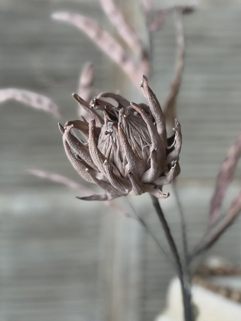 Gray Faux Protea Stem | Artificial Floral Stem: 29-Inches
