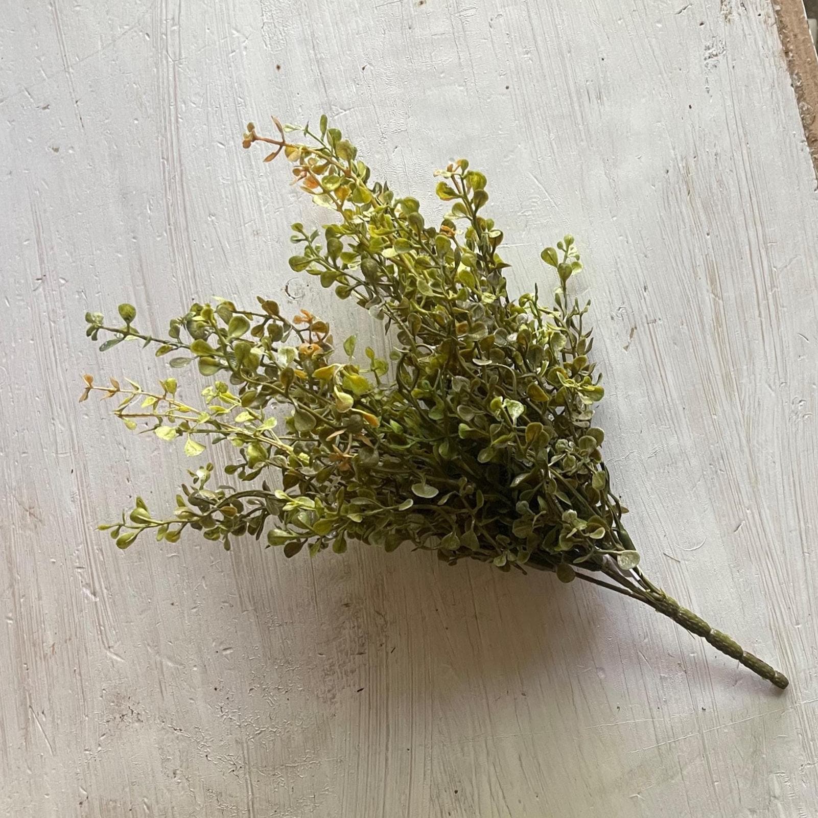 Baby's Grass Bush 14 Inch | New Green | Fall Greenery