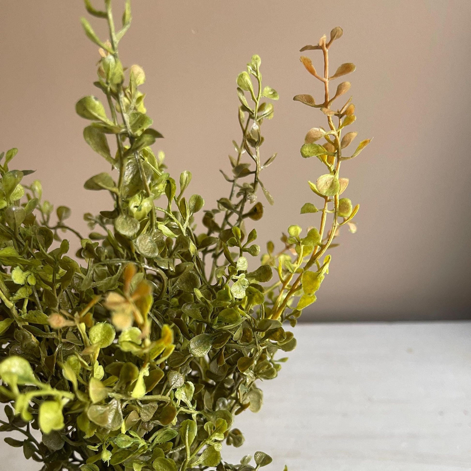 Baby's Grass Bush 14 Inch | New Green | Fall Greenery