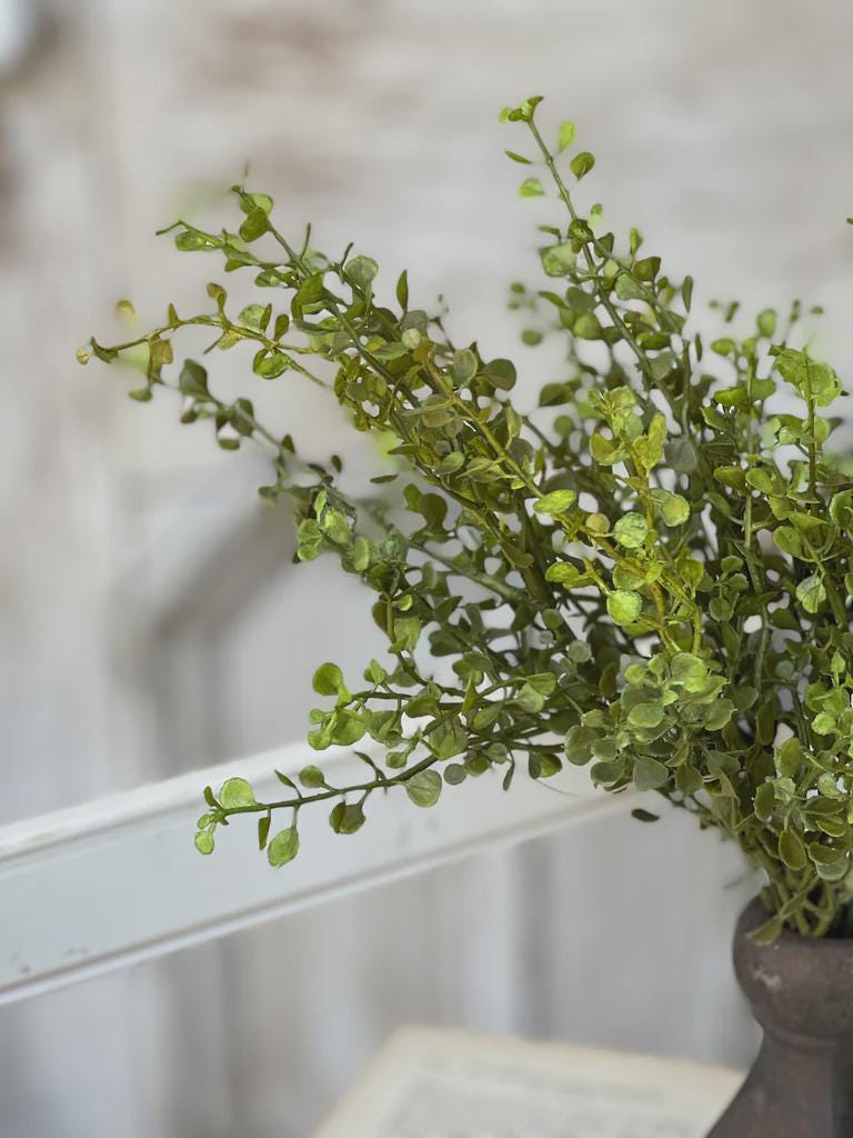 Baby's Grass Bush 14 Inch | New Green | Fall Greenery