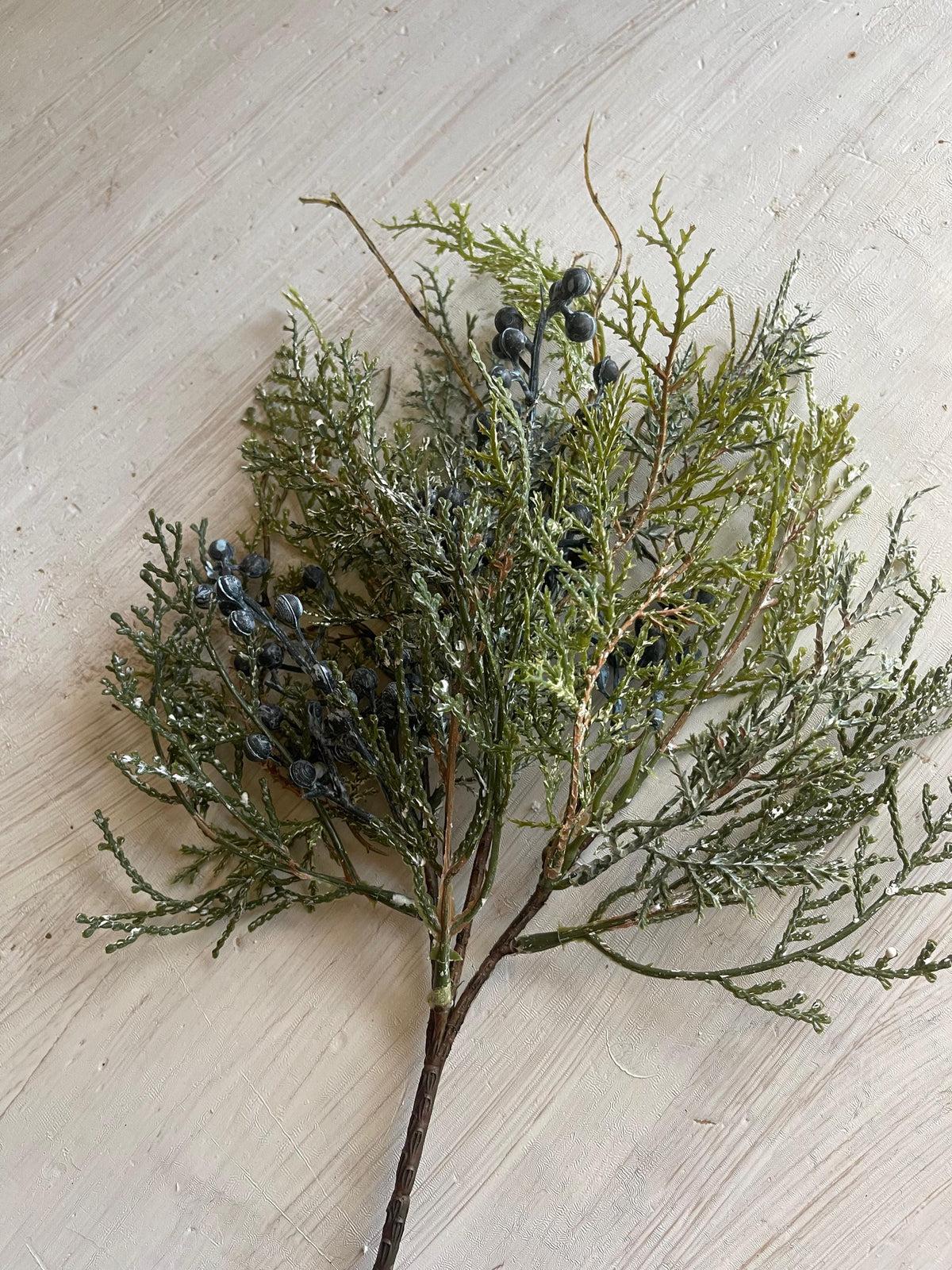 Snow Covered Cedar Pick with Blue Berries - Winter Greenery