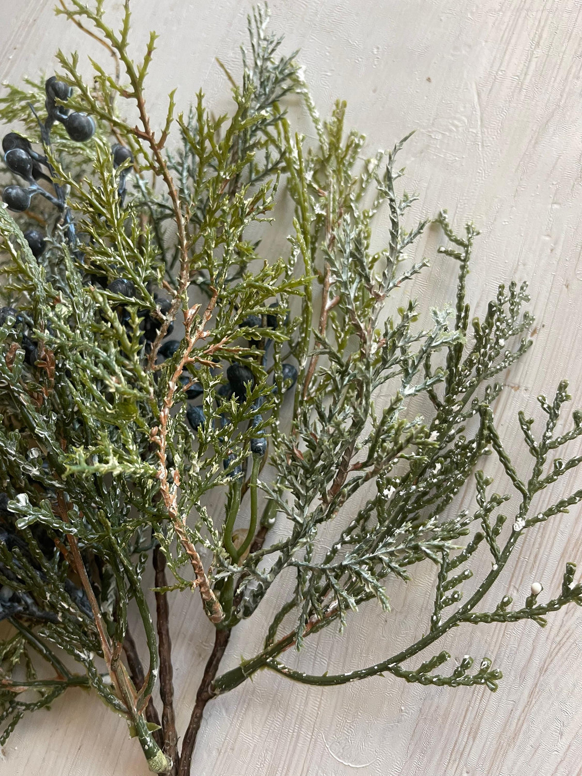 Snow Covered Cedar Pick with Blue Berries - Winter Greenery
