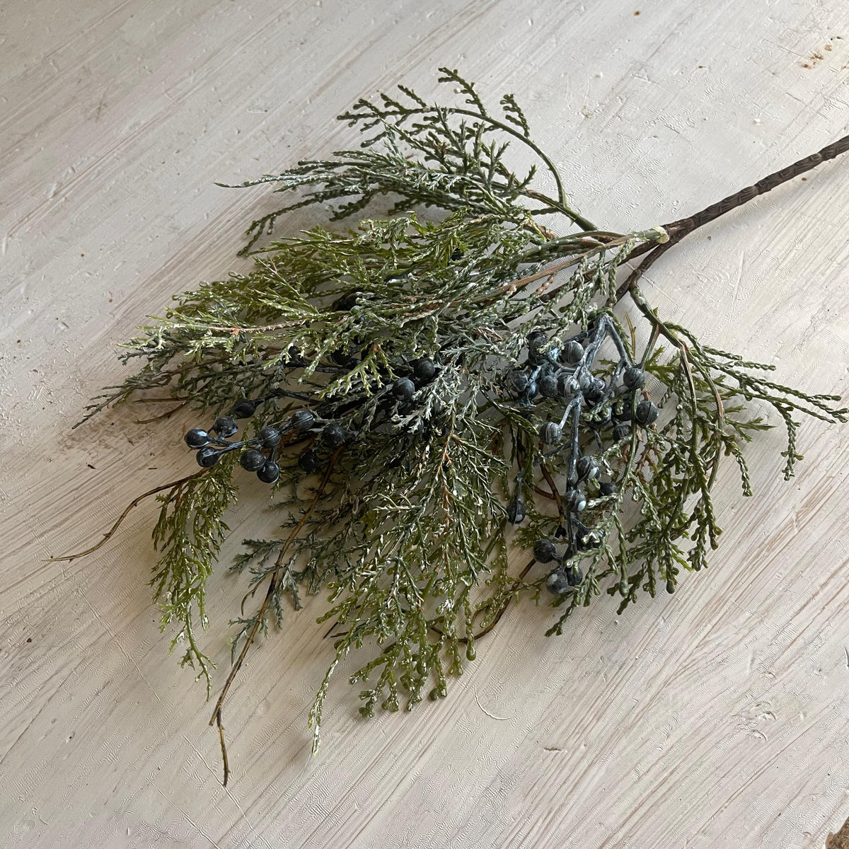 Snow Covered Cedar Pick with Blue Berries - Winter Greenery