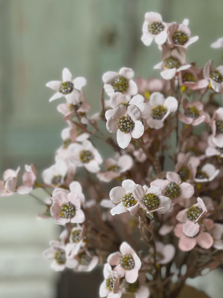 Blush Timeless Blooms Bush: Valentine's Day Floral Stems - 19-Inch