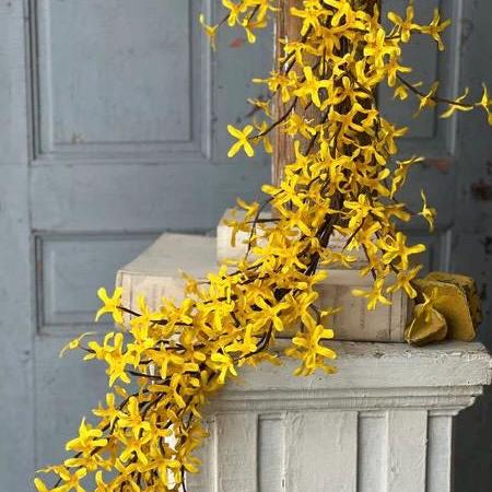 Forsythia Garland - 5 Foot Spring Garland
