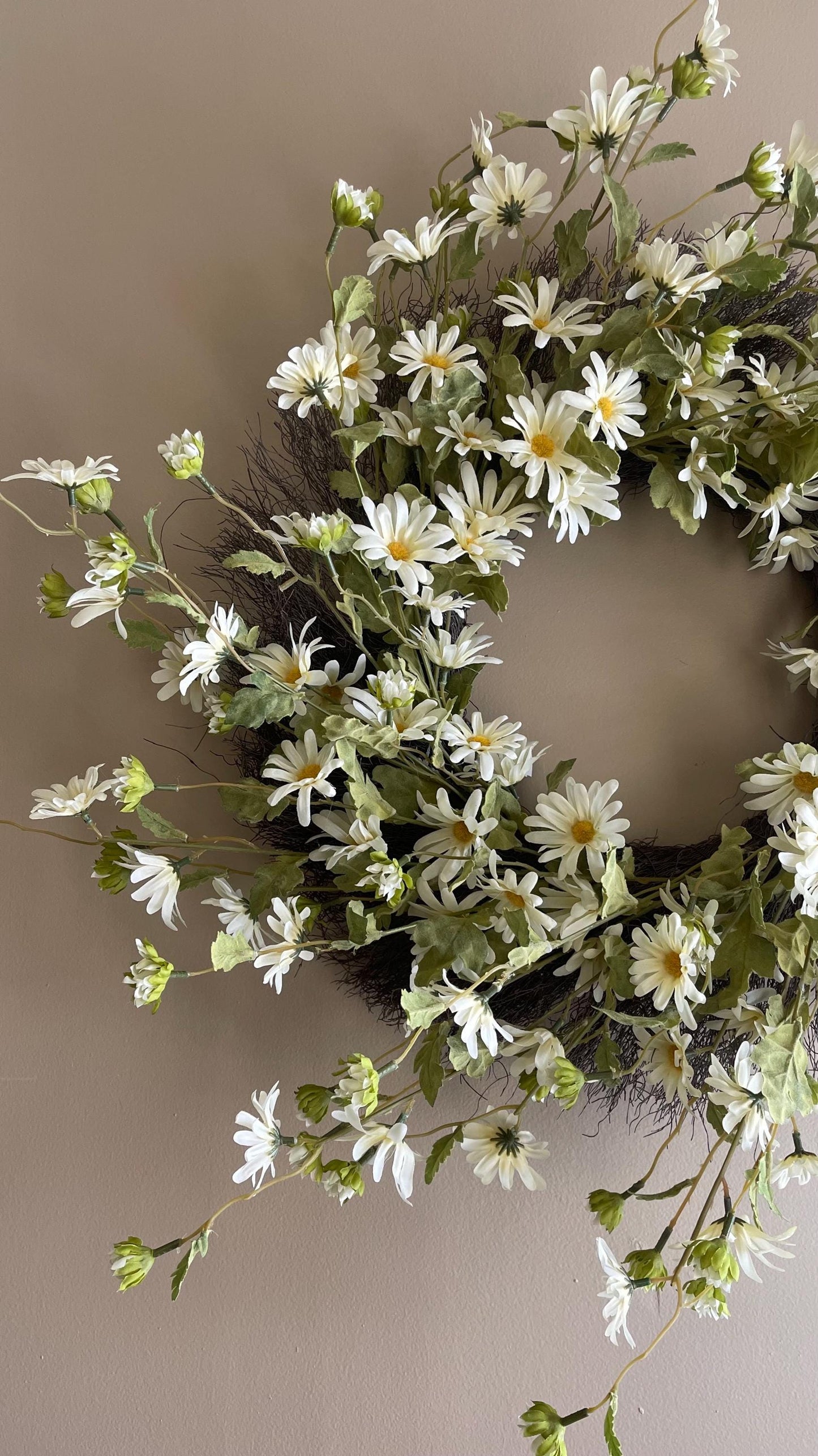 Spring Wreath - Cream Daisies - 28-Inch Spring Decor