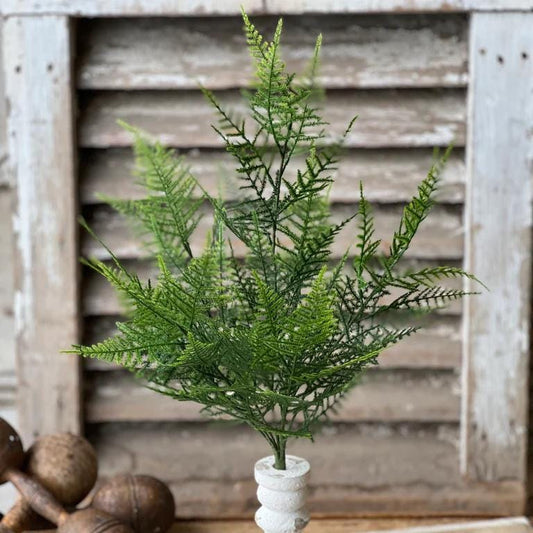 Asparagus Fern Bush, 20.5" Faux Greenery
