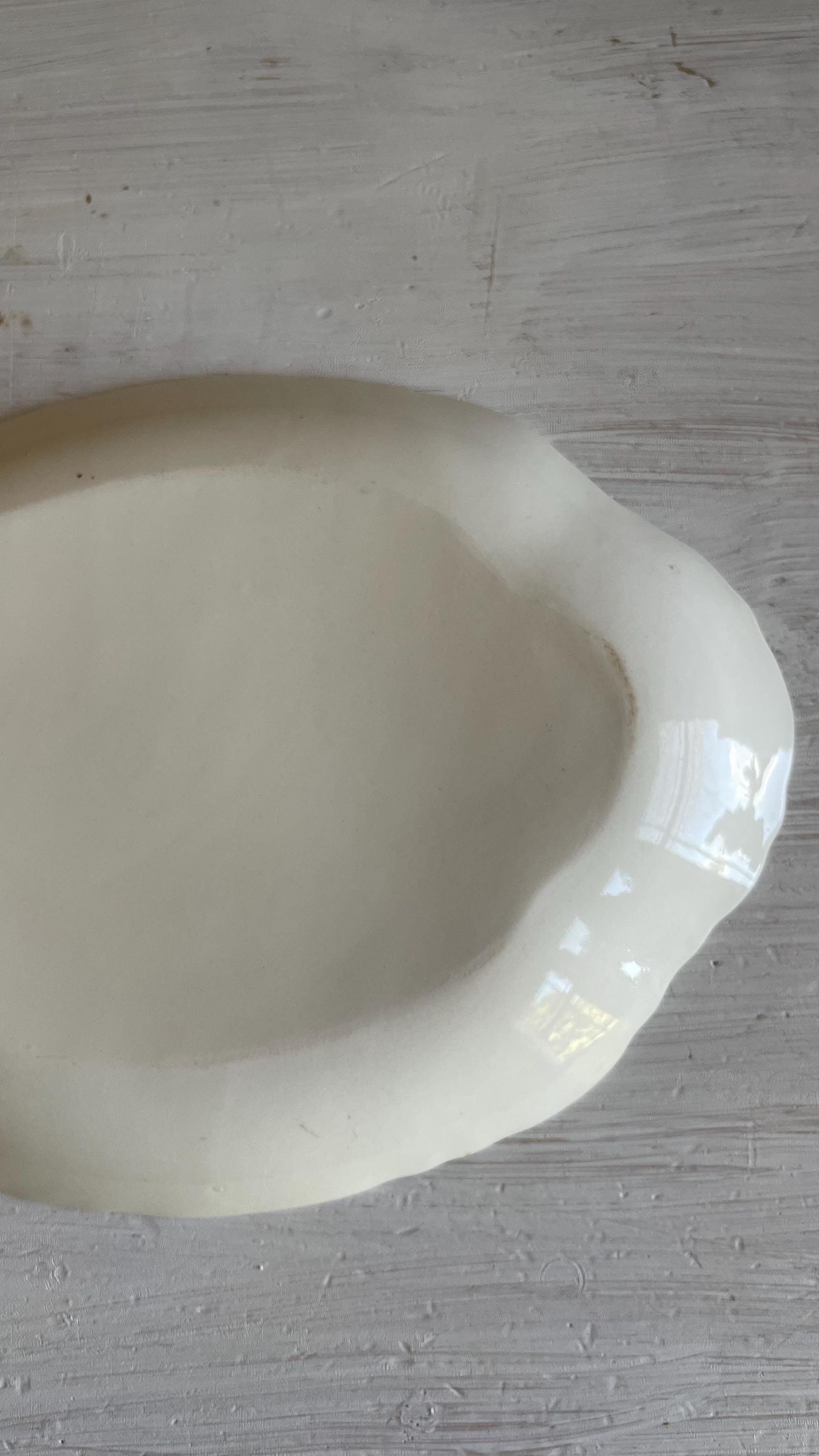 Vintage Homer Laughlin Republic 11.5 Inch Oval Platter | Pink & Blue Floral