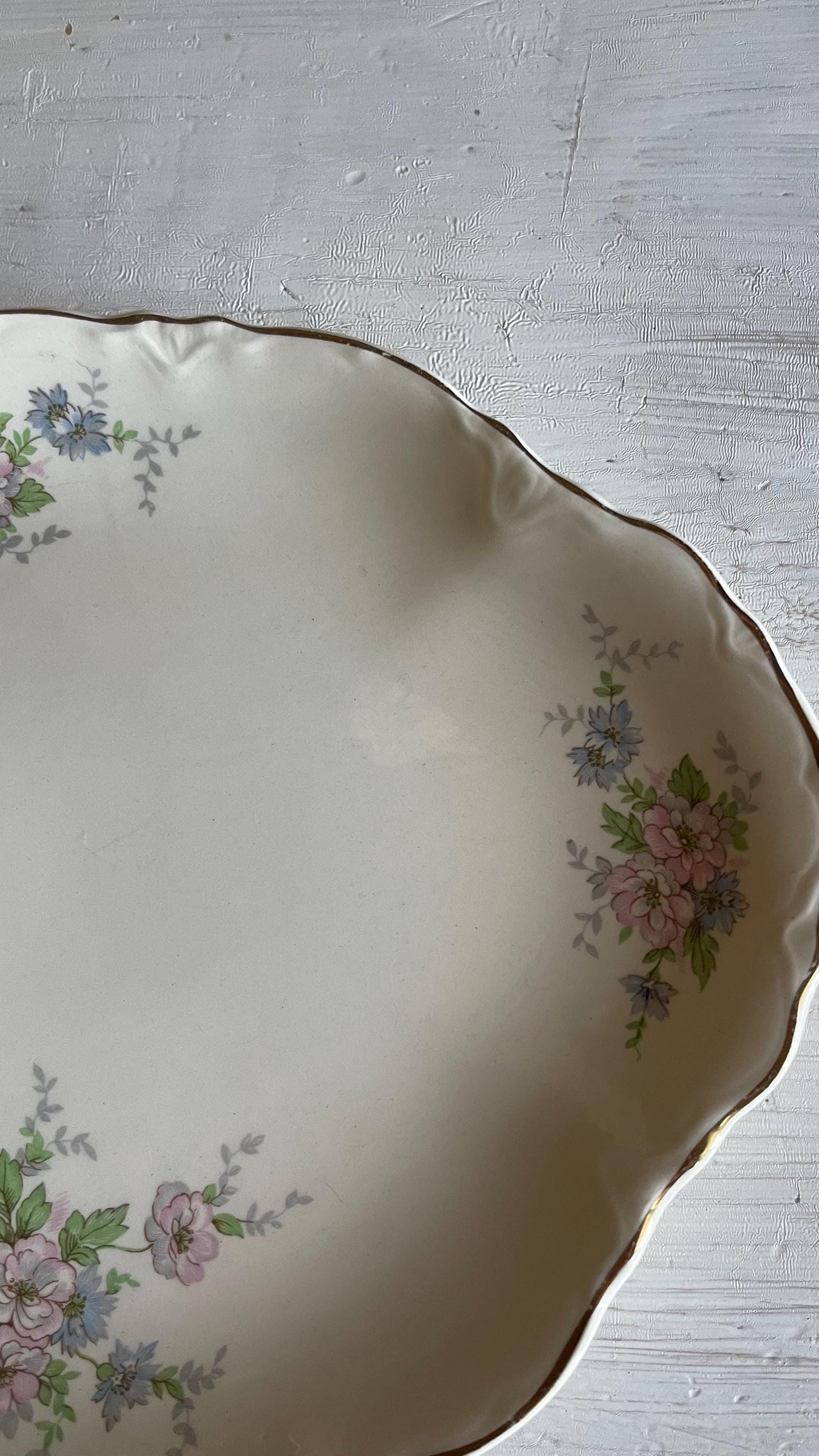 Vintage Homer Laughlin Republic 11.5 Inch Oval Platter | Pink & Blue Floral