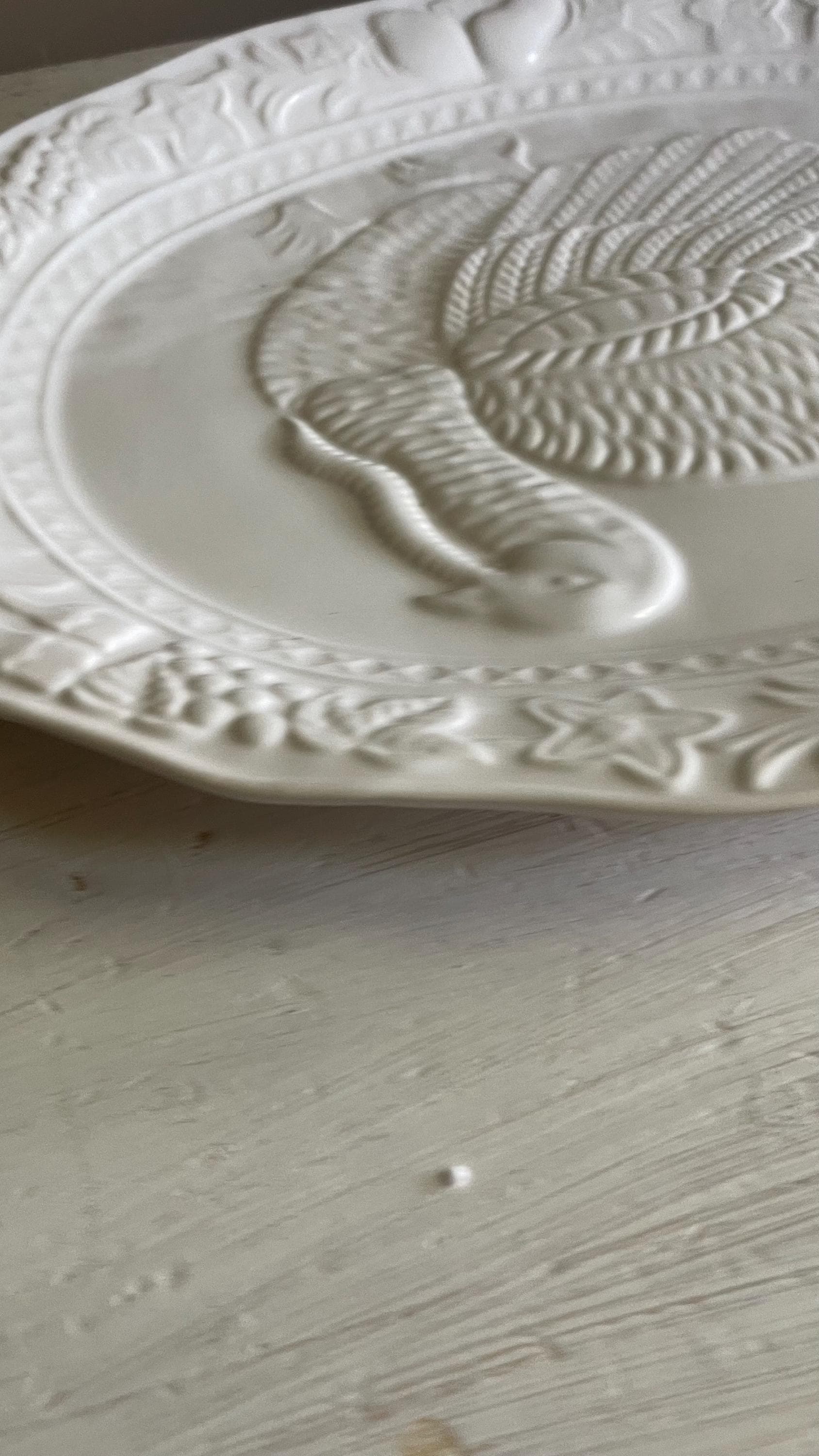 Vintage Tom Turkey Thanksgiving Platter: Embossed Fall Decor