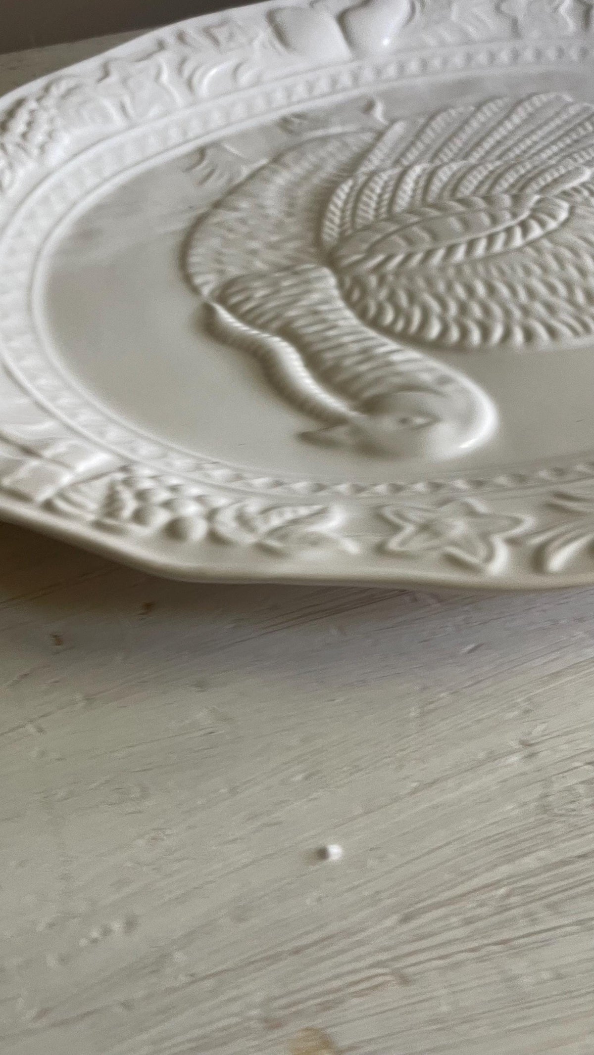 Vintage Tom Turkey Thanksgiving Platter: Embossed Fall Decor