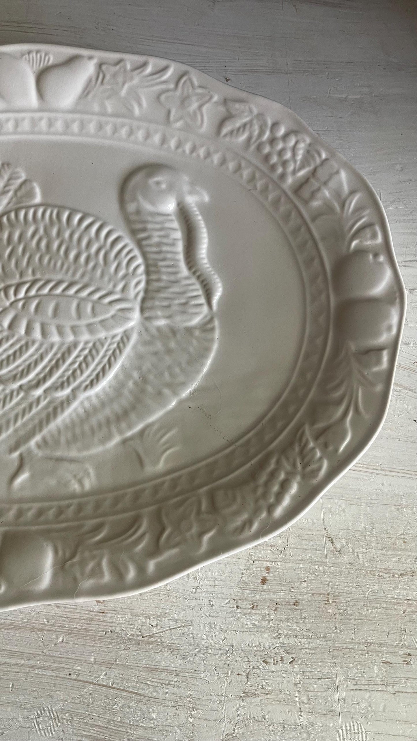 Vintage Tom Turkey Thanksgiving Platter: Embossed Fall Decor