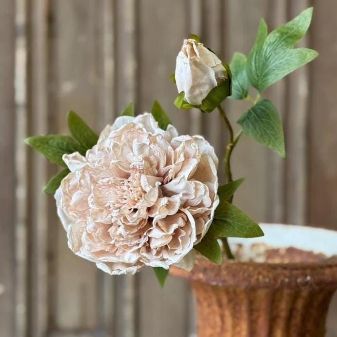 Peony Legacy Bloom Beige - Fall Faux Floral: 20-Inch