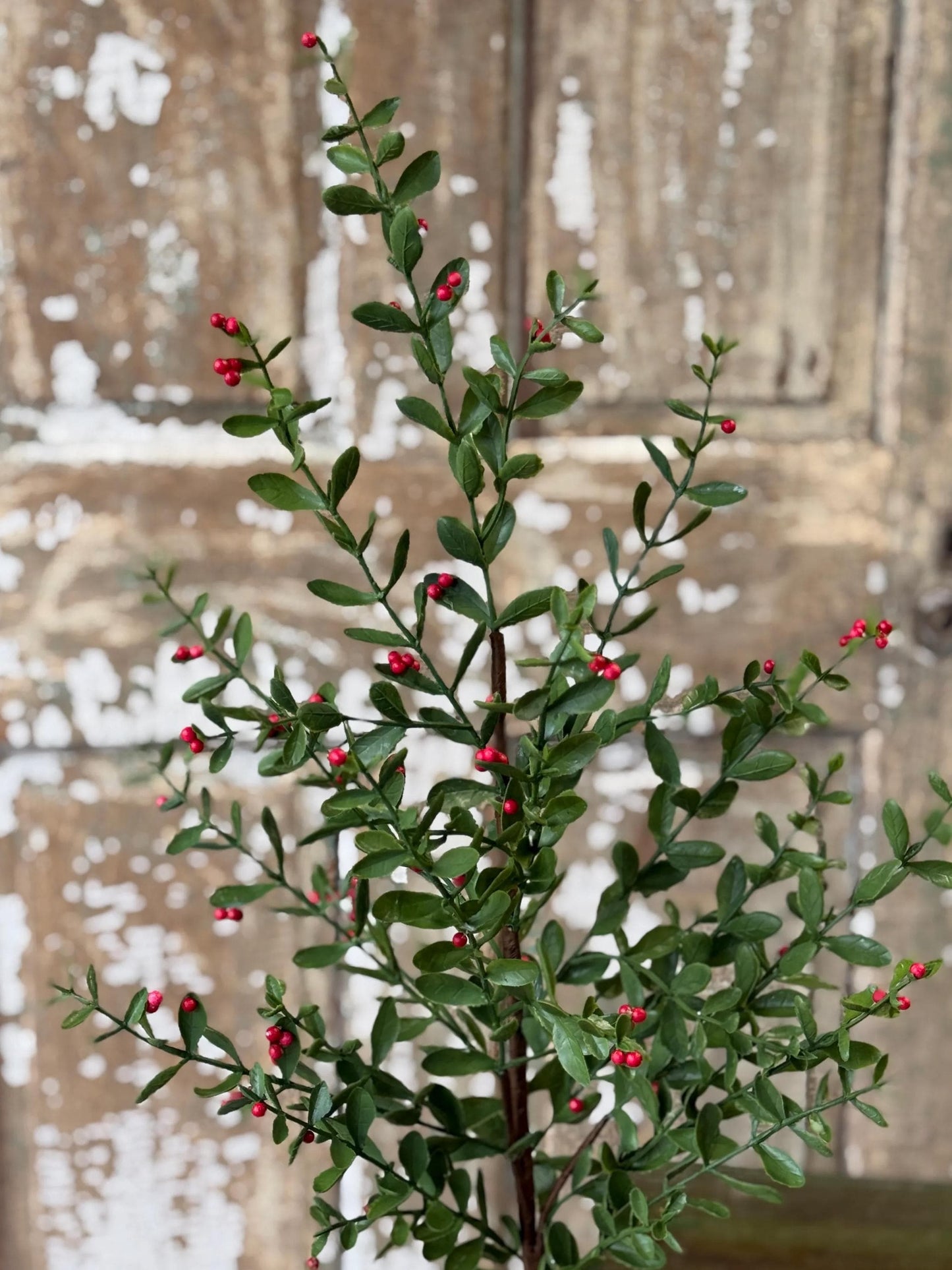 Holly and Berry Stems: Christmas Vase Filler, 36-Inch Pick