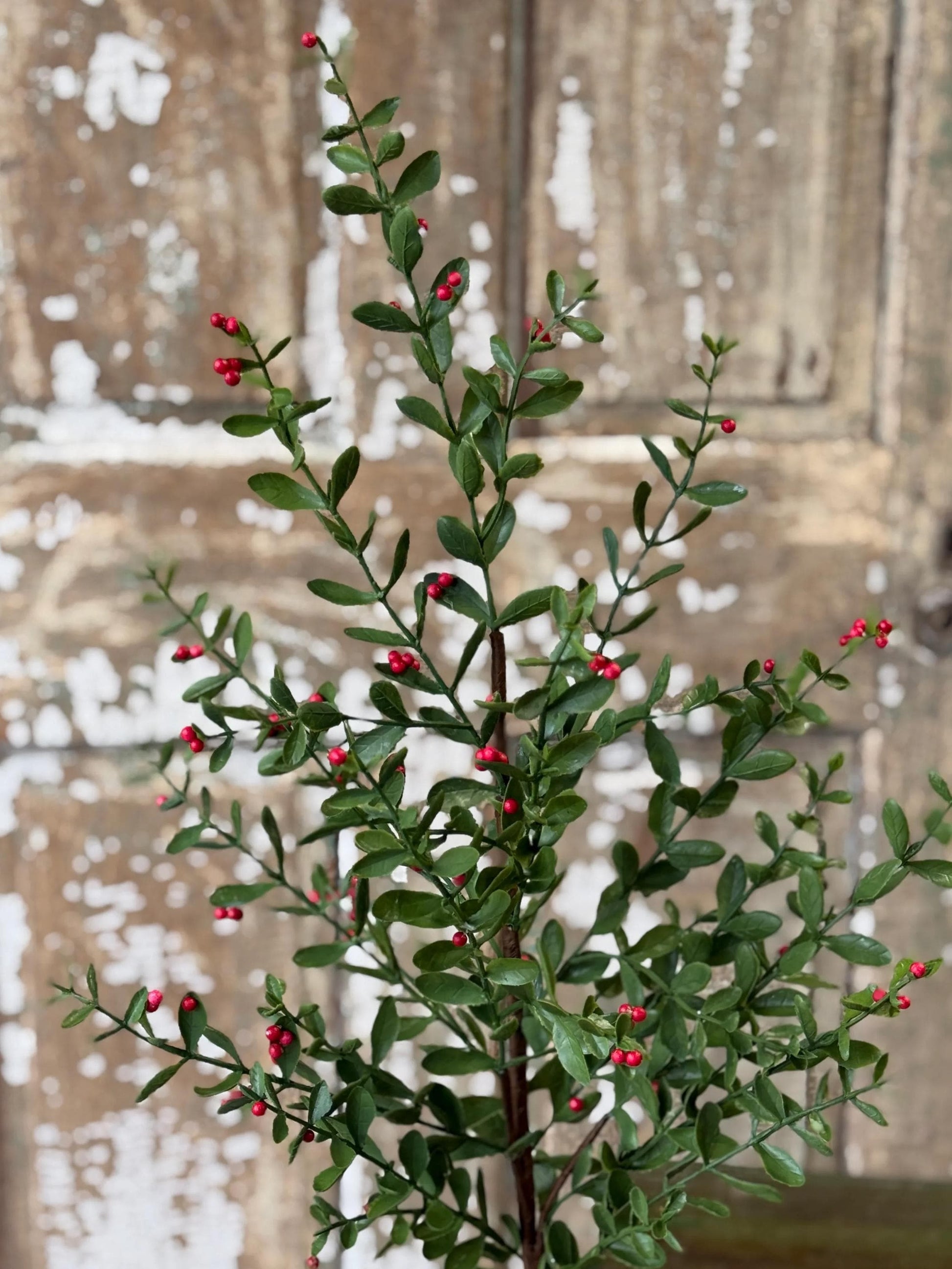 Holly and Berry Stems: Christmas Vase Filler, 36-Inch Pick
