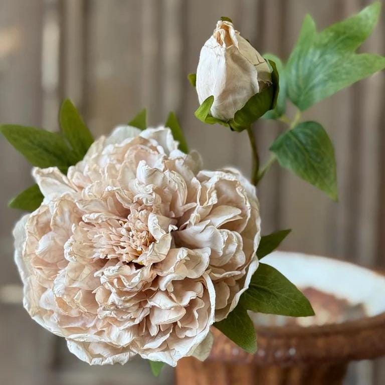 Peony Legacy Bloom Beige - Fall Faux Floral: 20-Inch