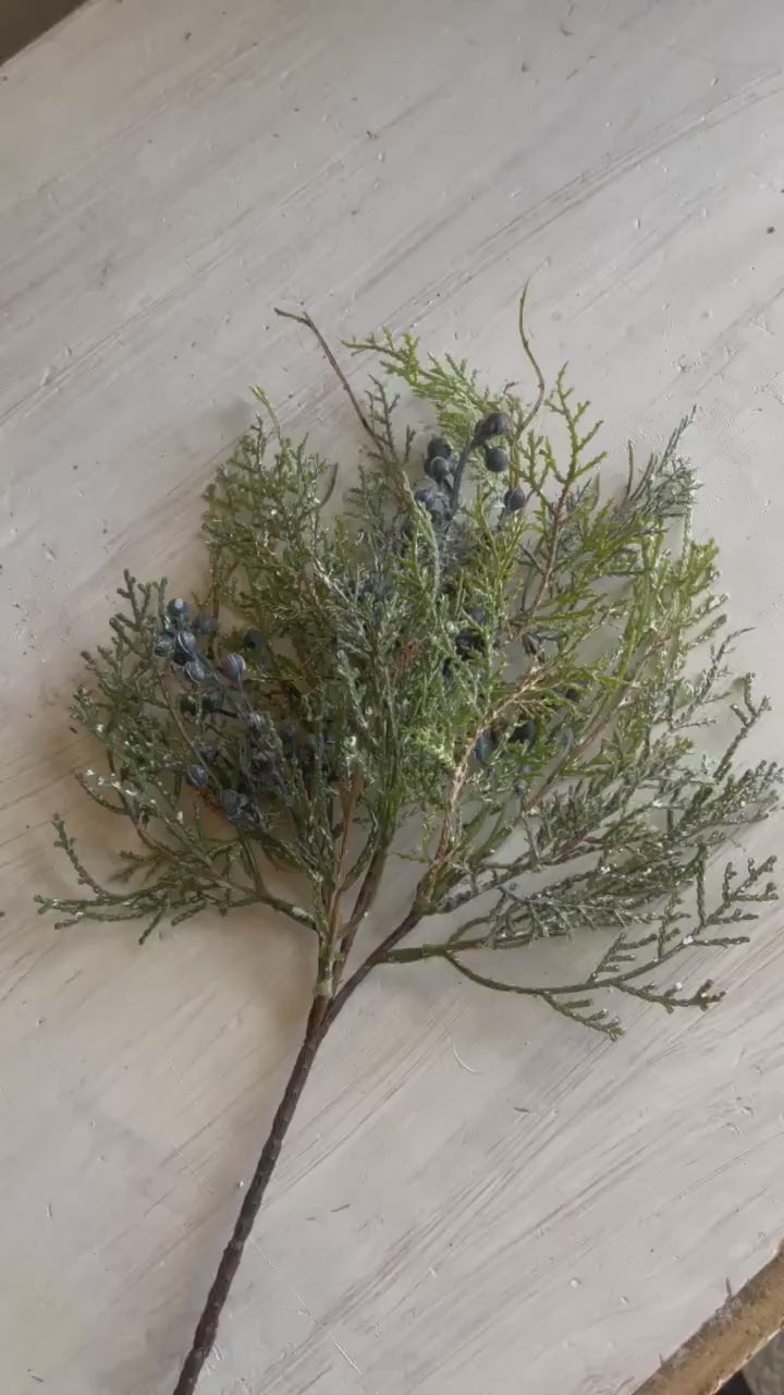 Bluestone Cedar Pick Set of 2 | Snow Covered Cedar Pick with Juniper Berries | Christmas Greens | Winter Wreath Supplies | Decor Vase Filler